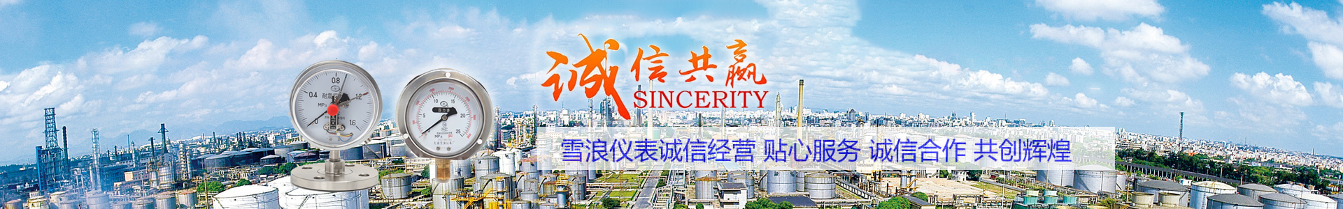 無錫雪浪儀表廠