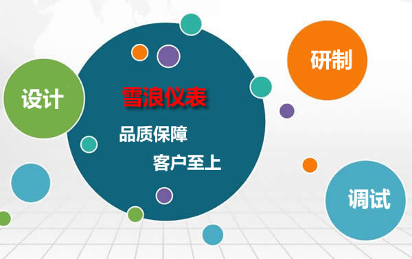 無錫雪浪儀表廠